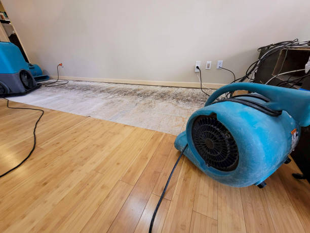 Professional Sewage Cleanup technician working in Basalt, CO